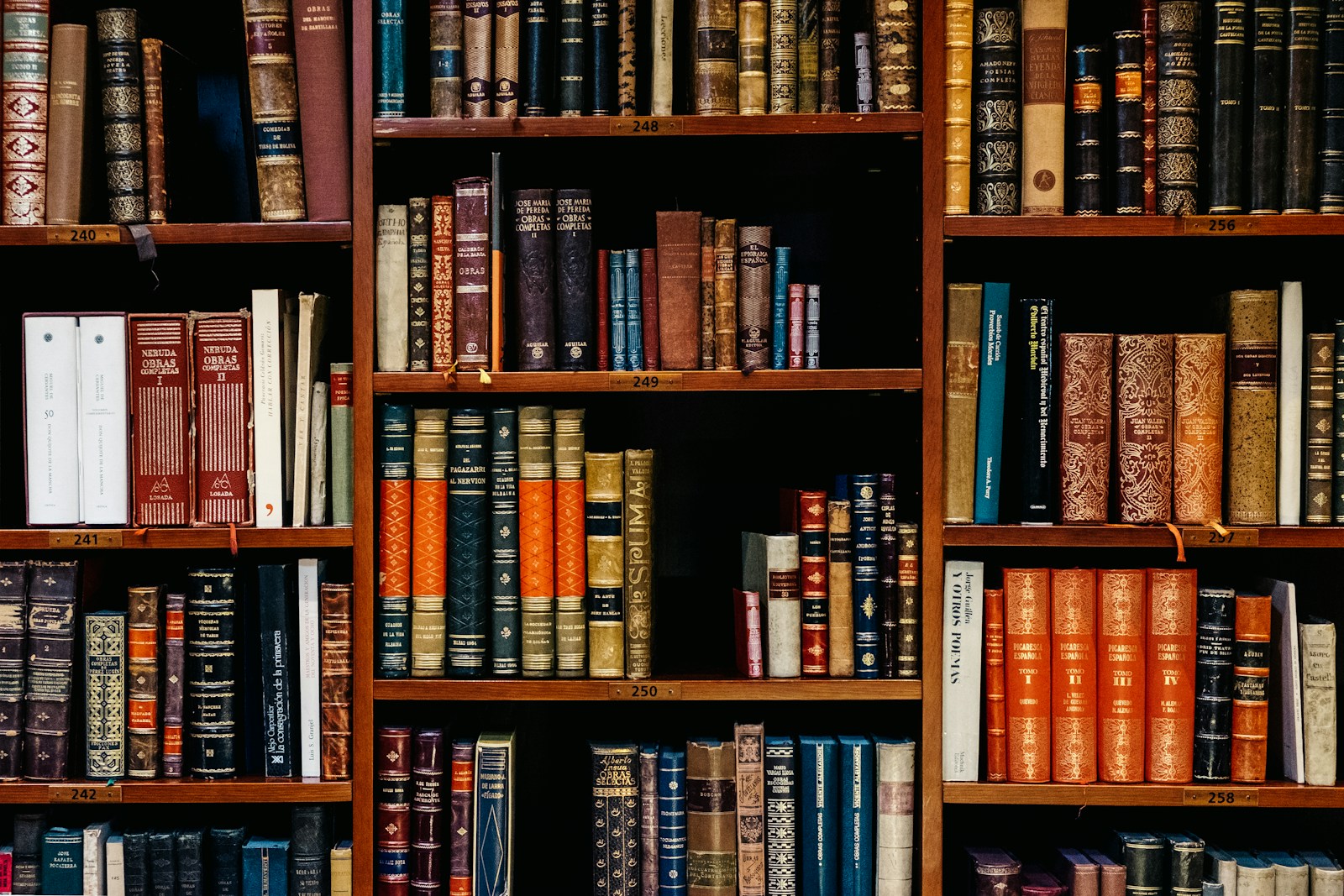International Perspectives on Learning Disabilities